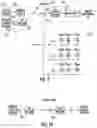 Fig. 09 - System and method for reactive power control of a wind farm