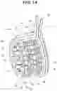 Fig. 13 - Polyphase claw pole motor and stator of the polyphase claw pole motor