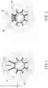 Fig. 02 - PERMANENT MAGNET MOTOR