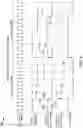 Fig. 07 - MASTER READ FROM SLAVE OVER PULSE-WIDTH MODULATED HALF-DUPLEX 1-WIRE BUS