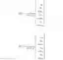 Fig. 205 - Method and apparatus to CSI reporting using multiple antenna panels in advanced wireless communication systems