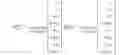 Fig. 253 - Method and apparatus to CSI reporting using multiple antenna panels in advanced wireless communication systems