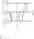 Fig. 10 - Protocol layer packet coding for transmitter/receiver buffer optimization