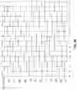 Fig. 05 - System for serializing high speed data signals