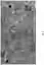 Fig. 06 - Systems and methods for building wireless mesh networks
