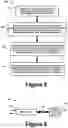 Fig. 06 - Achieving L2 tunnel reduncancy and L3 load balancing