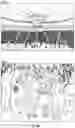 Fig. 09 - Location resolution of social media posts