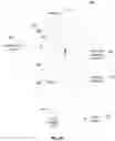 Fig. 28 - Location resolution of social media posts