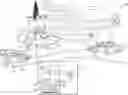 Fig. 01 - Signaling of wireless station capabilities