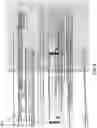 Fig. 07 - Print quality diagnosis