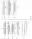 Fig. 07 - Method of printing an object having a surface of varying height