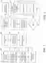 Fig. 03 - Texture printing system