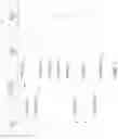 Fig. 10 - No-reference image quality assessment for iterative batch video analysis