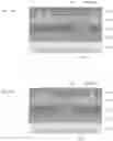 Fig. 12 - Control device, imaging device, and control method