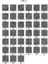 Fig. 06 - Imaging apparatus, image processing apparatus, imaging system, image processing method, and recording medium employing first and second Fresnel Zone plates with corresponding image sensors