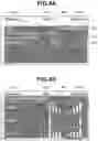 Fig. 06 - Electronic apparatus and method for controlling the same and storage medium