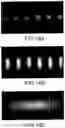 Fig. 15 - Substrate imaging apparatus