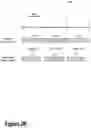 Fig. 05 - Systems and methods for multiscopic noise reduction and high-dynamic range