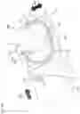 Fig. 18 - Stereoscopic mobile retinal imager