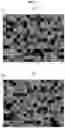 Fig. 08 - Method and apparatus for determining interpupillary distance (IPD)