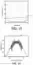 Fig. 11 - Autostereoscopic display device and display method