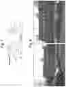 Fig. 04 - Collaborative sighting
