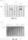 Fig. 16 - Coding of last significant coefficient flags