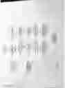 Fig. 03 - Light weight transport stream streaming protocol for live transcoding system