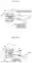 Fig. 14 - Unmanned aircraft, information processing method, and recording medium