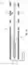 Fig. 09 - MEMS-transducer and method for producing a MEMS-transducer