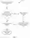 Fig. 09 - Systems and methods for identifying parties based on coordinating identifiers