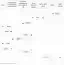 Fig. 01 - Data packet transmission method and device