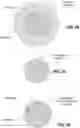 Fig. 49 - Apparatus and methods for transmitting or receiving electromagnetic waves