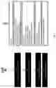 Fig. 02 - Fast access to neighbor cell synchronization signals in NR