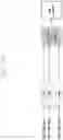 Fig. 42 - Method and apparatus for generating cell measurement information in a wireless communication system