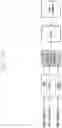 Fig. 44 - Method and apparatus for generating cell measurement information in a wireless communication system