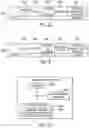 Fig. 05 - Indicating support for a broadcast service