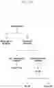 Fig. 03 - Method and user equipment (UE) for provisioning minimum system information (MSI) in wireless communication system