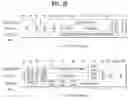Fig. 11 - Method and device for transmitting/receiving frame related to multi-user transmission in wireless LAN system