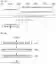 Fig. 15 - De-registration method in wireless communication system and device therefor