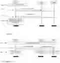 Fig. 04 - Enabling exchange of information on radio frame configuration in neighbor cells