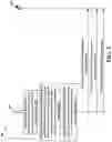 Fig. 06 - Narrowband time-division duplex frame structure for narrowband communications