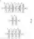 Fig. 13 - Distributed intelligent network-based lighting system