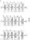 Fig. 14 - Distributed intelligent network-based lighting system