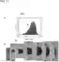 Fig. 12 - Method and device for generating electromagnetic radiation by means of a laser-produced plasma