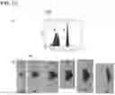 Fig. 13 - Method and device for generating electromagnetic radiation by means of a laser-produced plasma