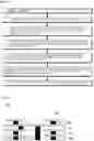 Fig. 04 - Multilayered ceramic substrate and method for manufacturing same