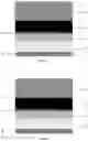 Fig. 02 - ELECTROMAGNETIC WAVE SHIELDING FILM AND MANUFACTURING METHOD AND APPLICATION THEREOF