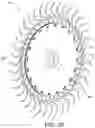 Fig. 17 - Rake wheels for gathering crop material
