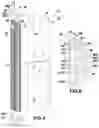 Fig. 03 - Lighting device for horticultural facility